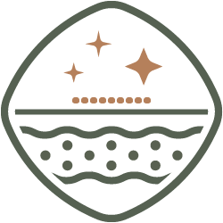 Punoitus